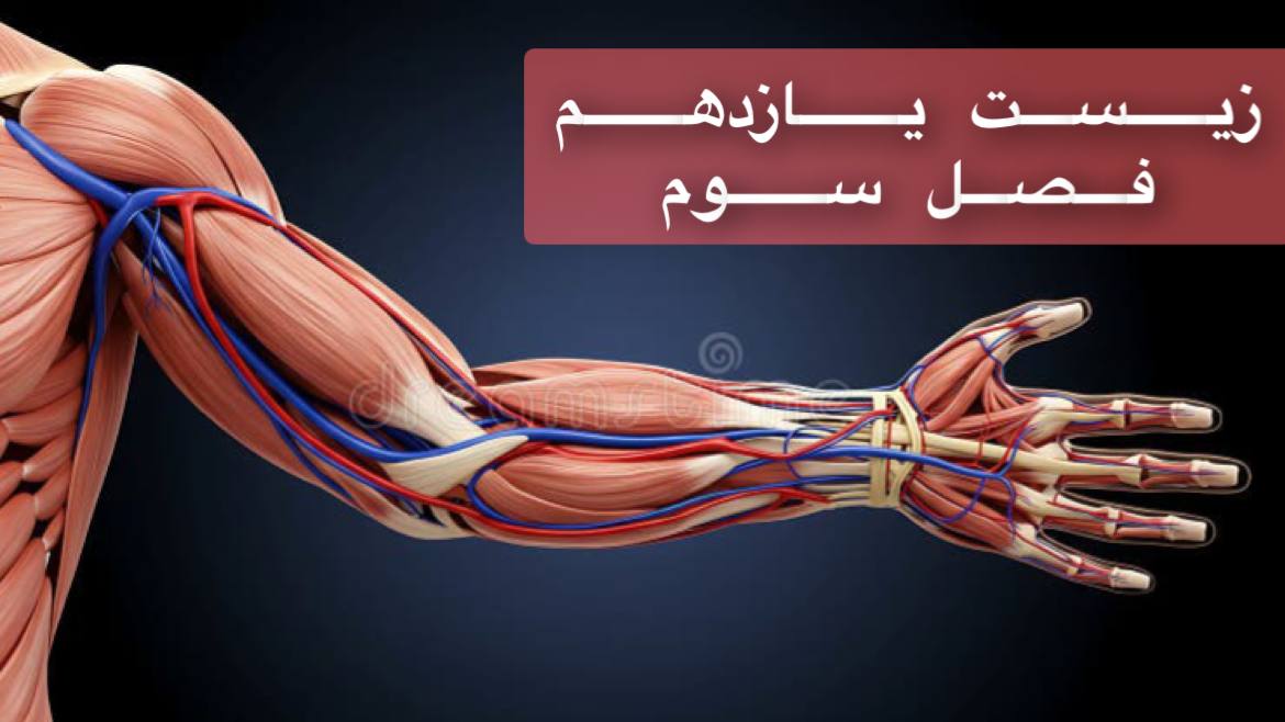 یازدهم - فصل سوم - ویژه دوره سریع و جامع در 1/5 ساعت