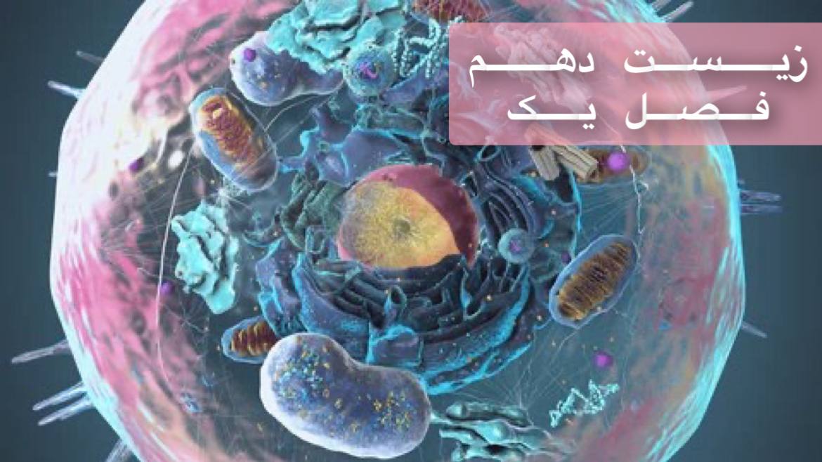 دهم- فصل اول- ویژه دوره سریع و جامع در 2 ساغت