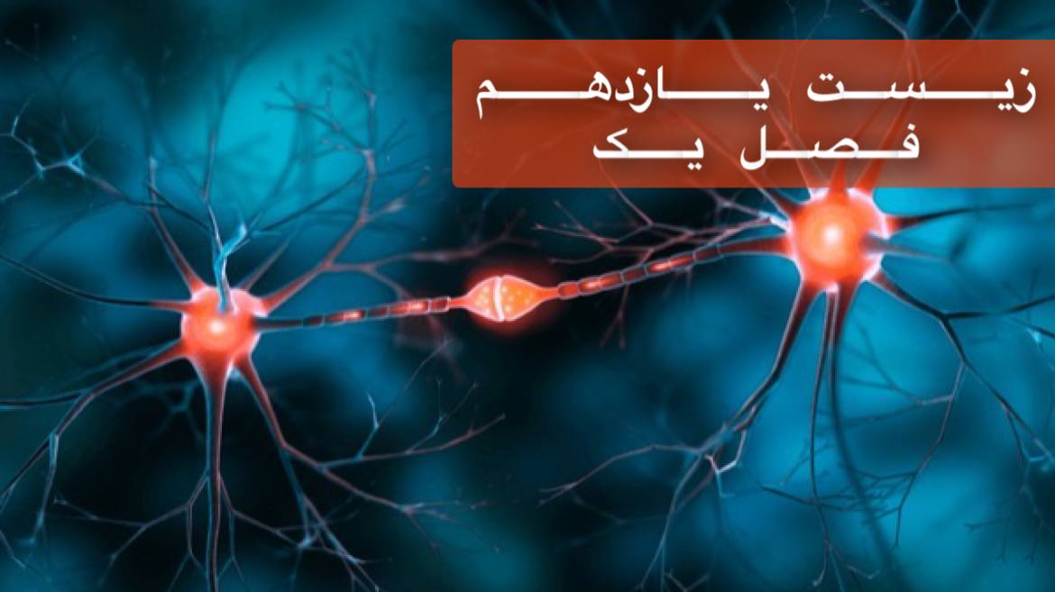 یازدهم - فصل اول - ویژه دوره سریع و جامع در 2/5 ساعت