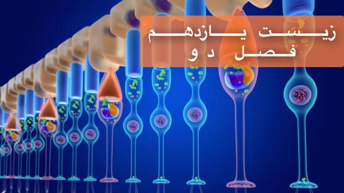 یازدهم - فصل دوم - ویژه دوره سریع و جامع در 1/5 ساعت