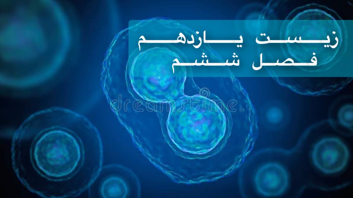 یازدهم - فصل ششم - ویژه دوره سریع و جامع در 1/5 ساعت