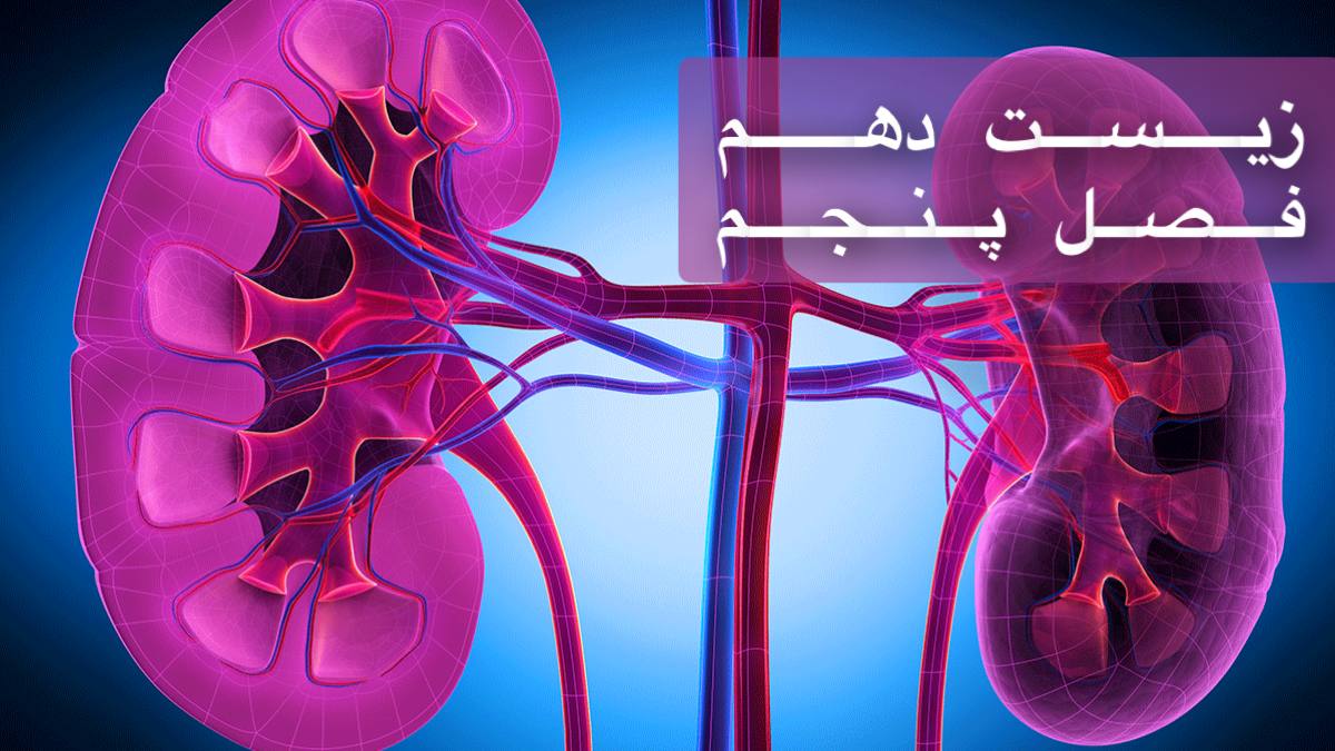 دهم - فصل پنجم - ویژه دوره سریع و جامع در 1 ساعت
