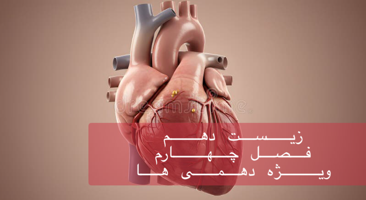 دهم - بررسی جامع و کامل فصل چهارم در 5/20 ساعت - ویژه دهمی ها
