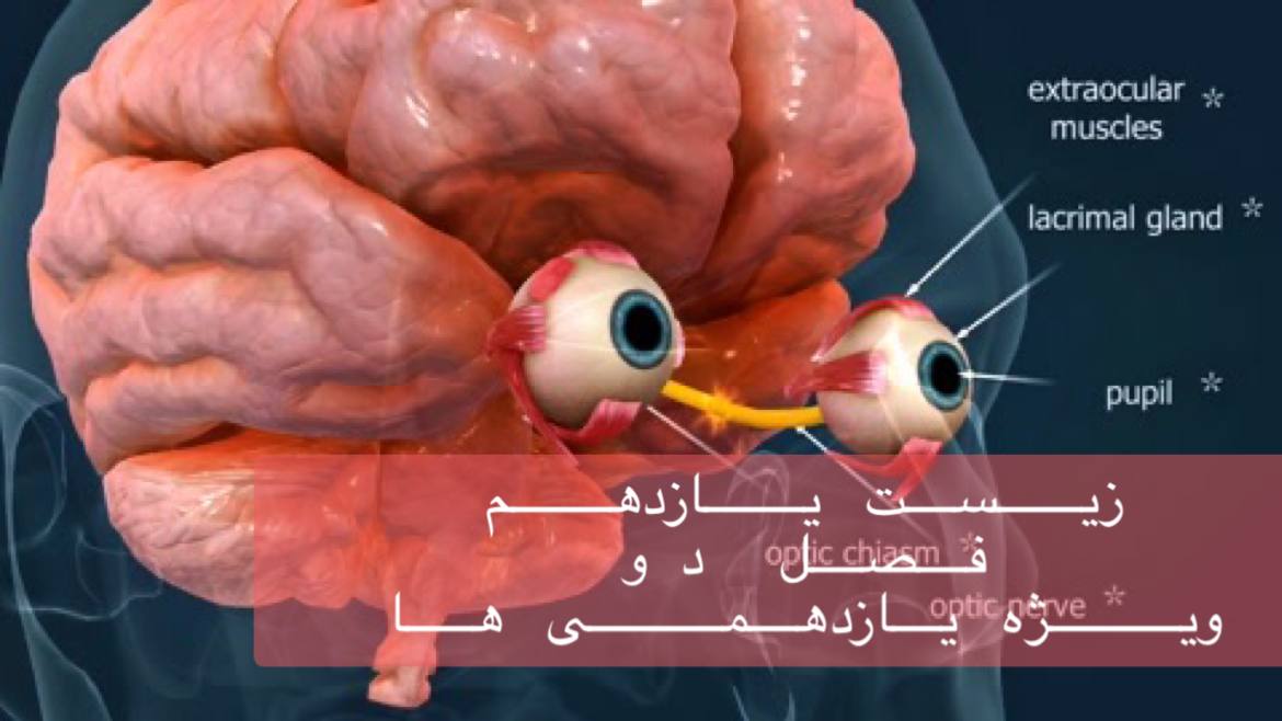 یازدهم - بررسی جامع فصل دوم در 4 ساعت - ویژه یازدهمی ها - حل سوالات کنکور