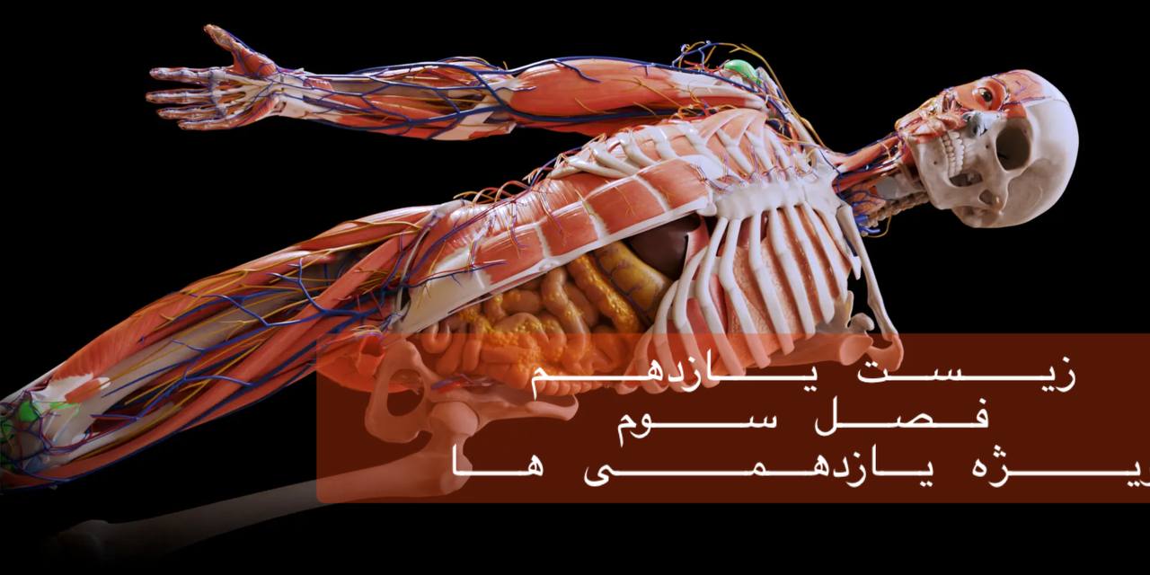 یازدهم - بررسی جامع فصل سوم در 3/5 ساعت - ویژه یازدهمی ها - حل سوالات کنکور