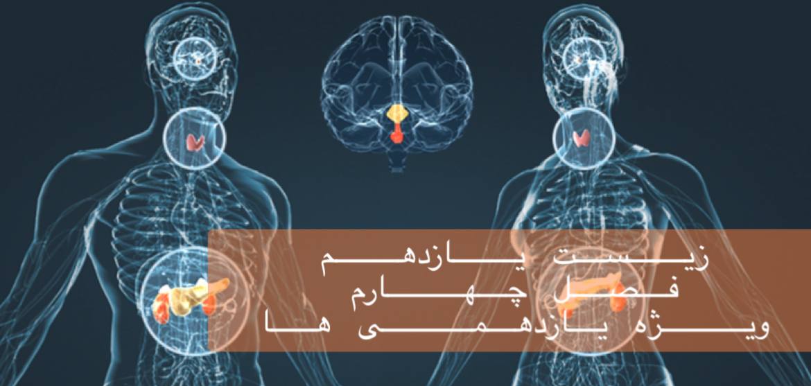 یازدهم - بررسی جامع فصل چهارم در 3 ساعت - ویژه یازدهمی ها- حل سوالات کنکور