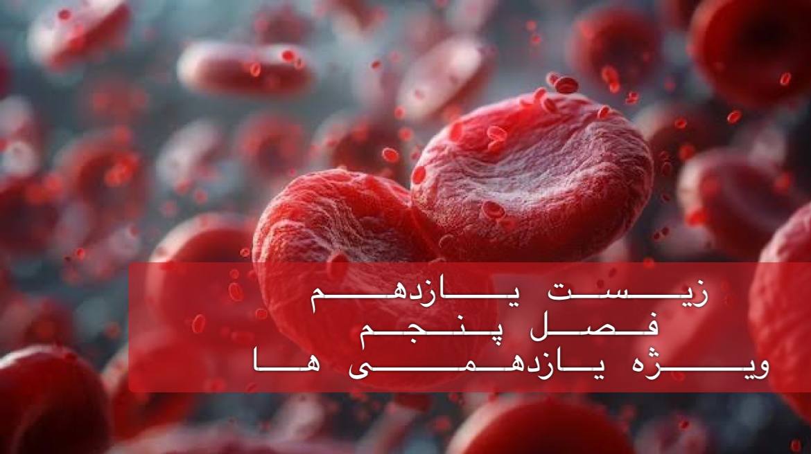 یازدهم - بررسی جامع فصل پنجم در 3/5 ساعت - ویژه یازدهمی ها - حل سوالات کنکور