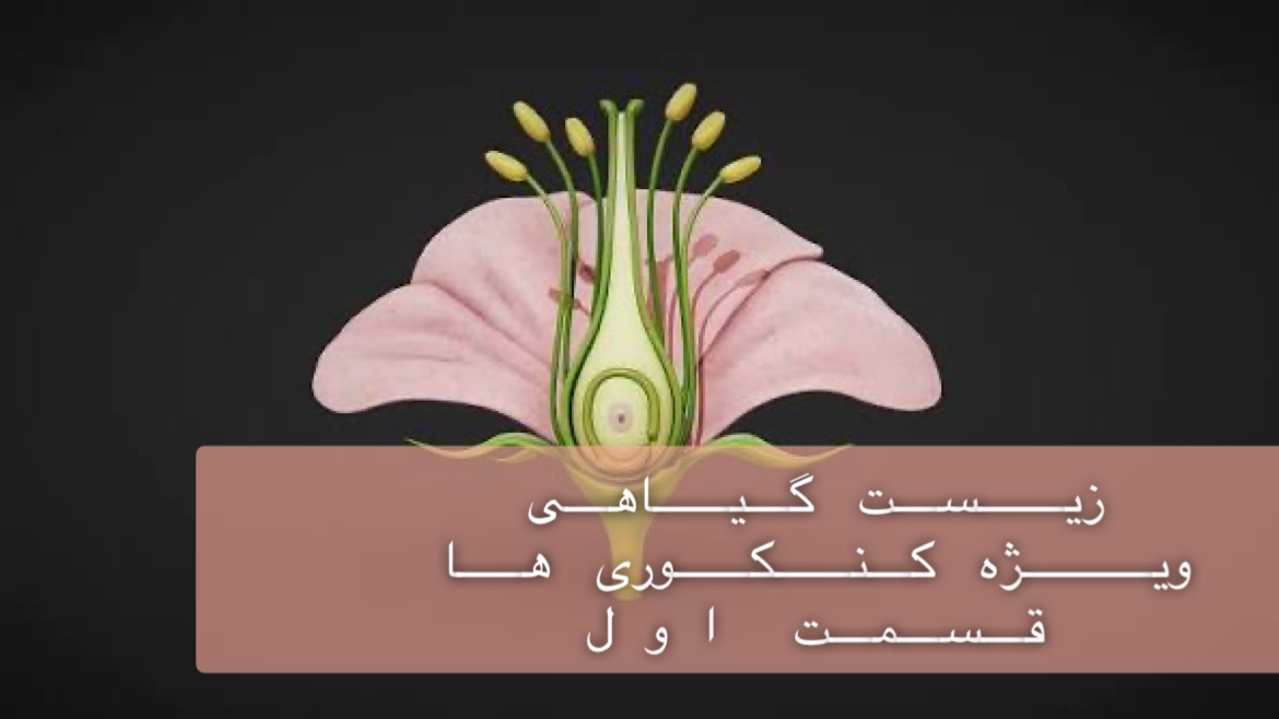 گیاهی - بررسی جامع زیست گیاهی در 7 ساعت - قسمت اول - ویژه کنکوری ها