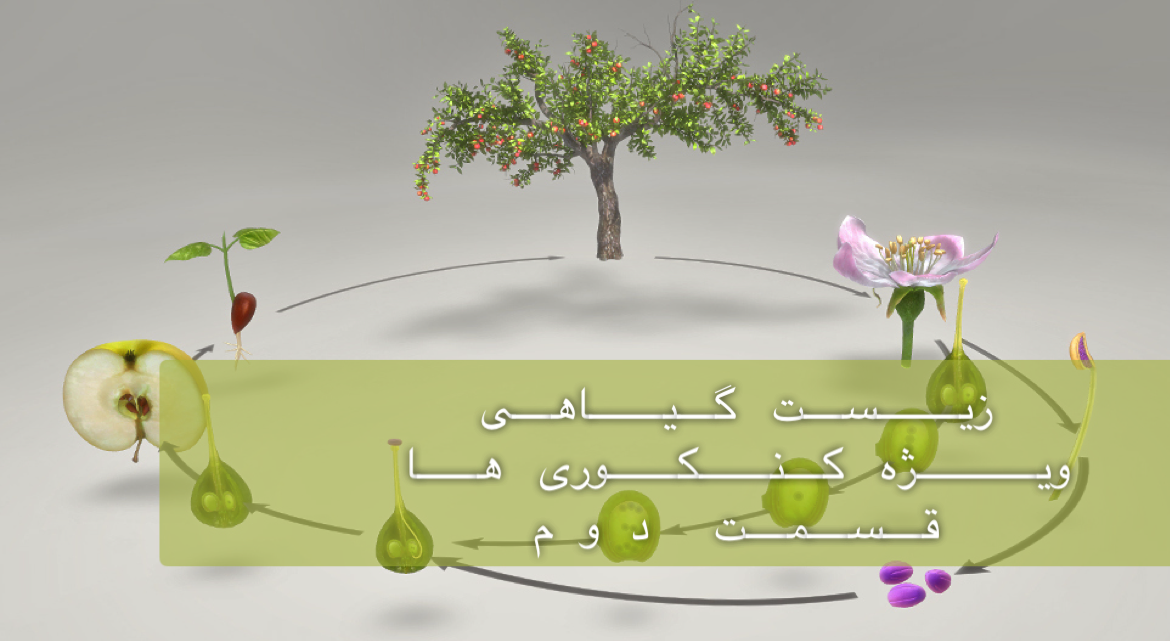 گیاهی - بررسی جامع زیست گیاهی در 7 ساعت - قسمت دوم - ویژه کنکوری ها