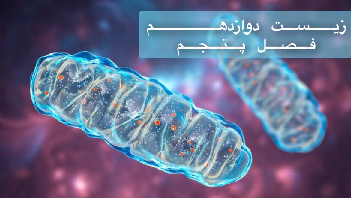 دوازدهم - بررسی جامع فصل پنجم در 3 ساعت - ویژه نهایی و کنکور- حل سوالات کنکور