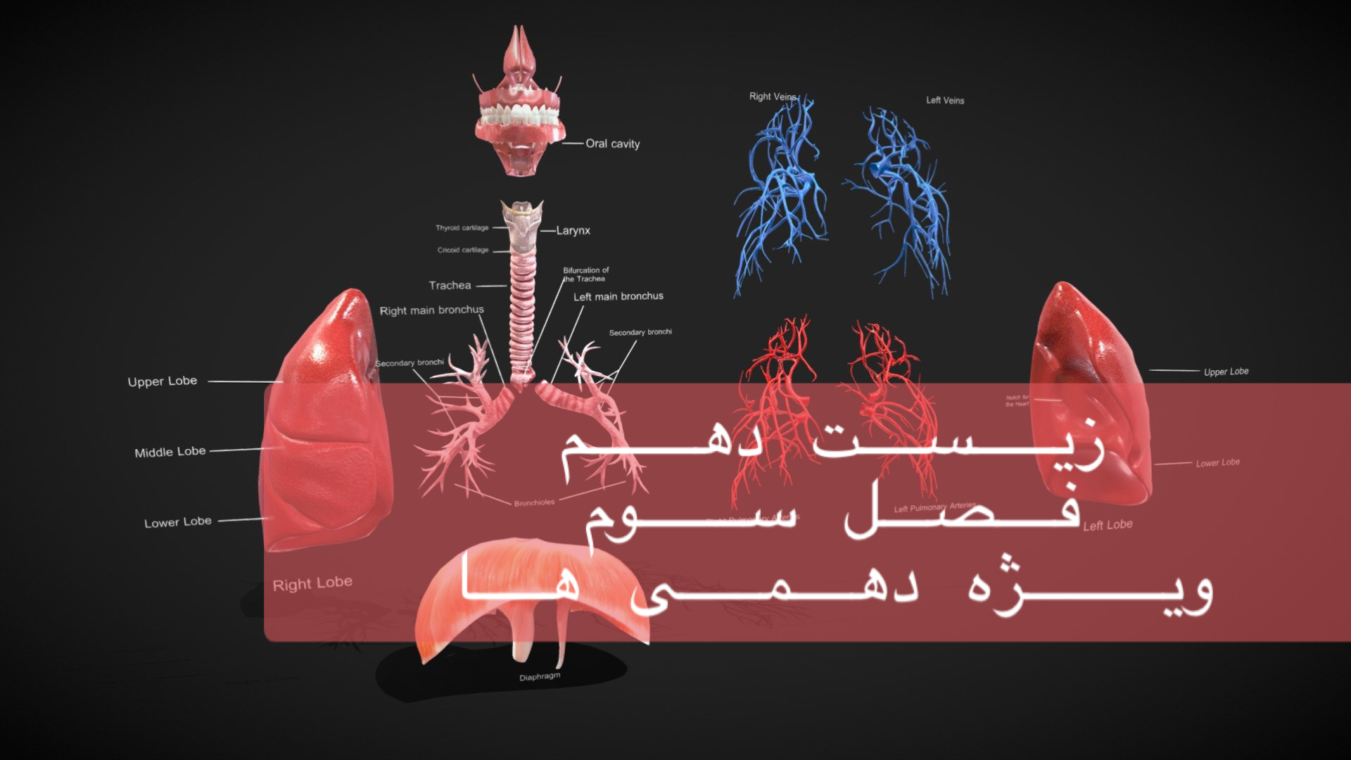 دهم - بررسی جامع و کامل فصل سوم در 3/5 ساعت