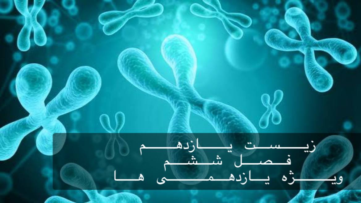 یازدهم - بررسی جامع و کامل فصل ششم در 4/5 ساعت - حل سوالات کنکور