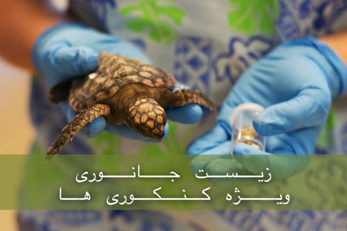 جانوری - بررسی کامل و جامع زیست جانوری در 2/5 ساعت - ویژه کنکوری ها