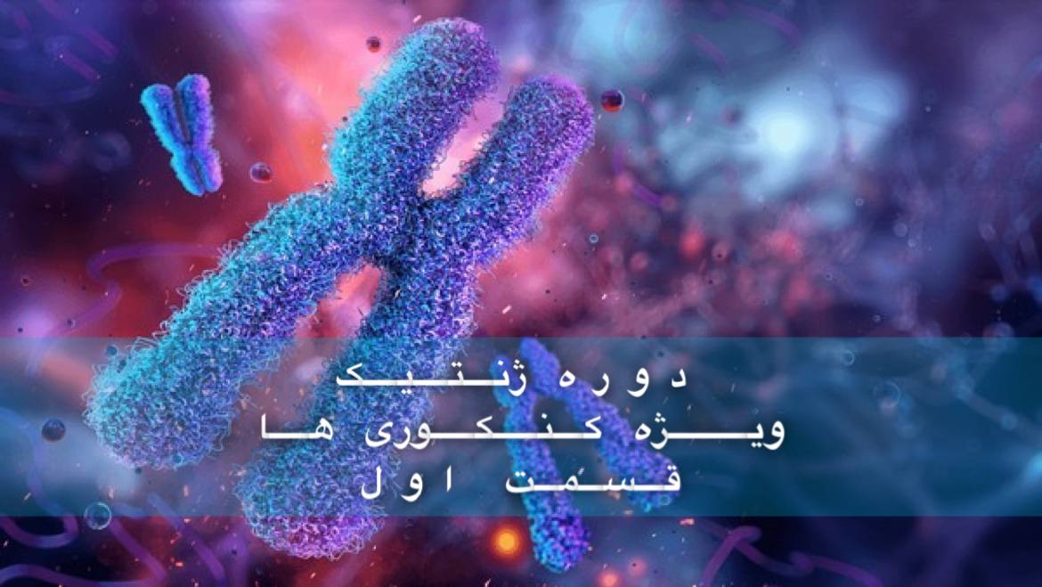 ژنتیک - بررسی جامع ژنتیک در 6 ساعت - قسمت اول - مبانی تا پیشرفته انسانی، حل سوالات کنکور