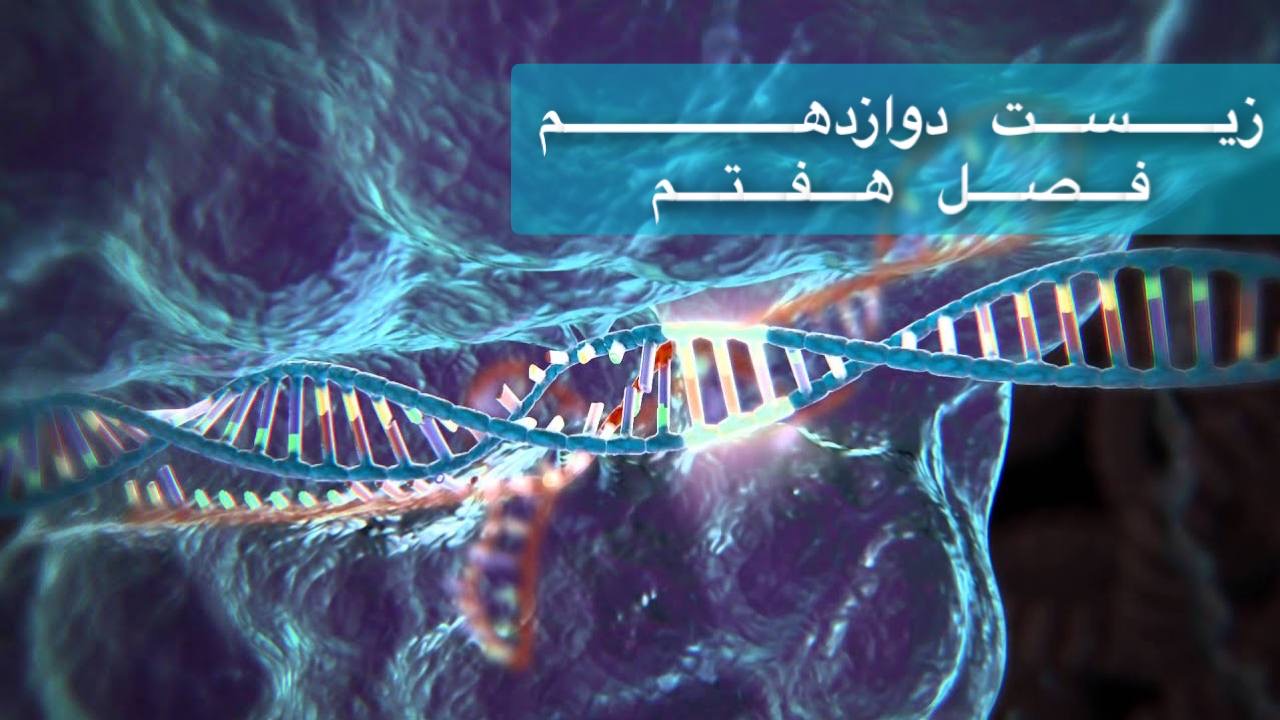 دوازدهم - بررسی جامع فصل هفتم دوازدهم در 2 ساعت