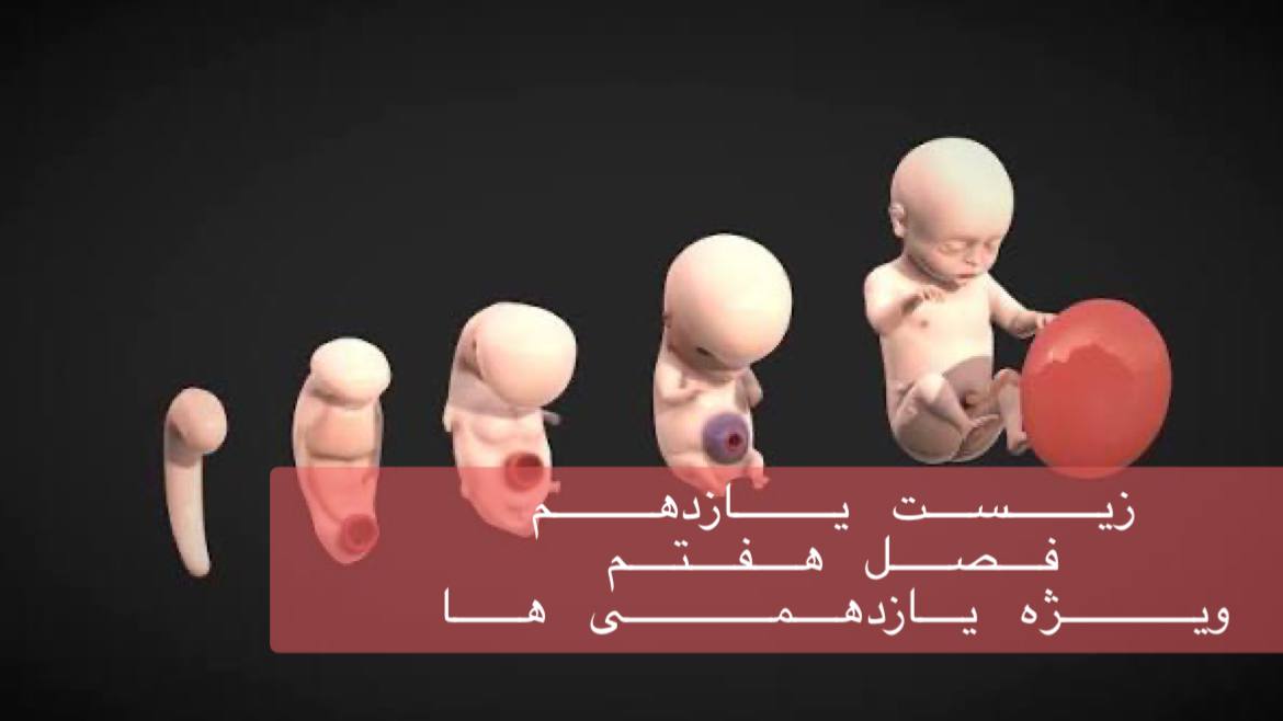 یازدهم - بررسی جامع فصل هفتم یازدهم در 4 ساعت - حل سوالات کنکور