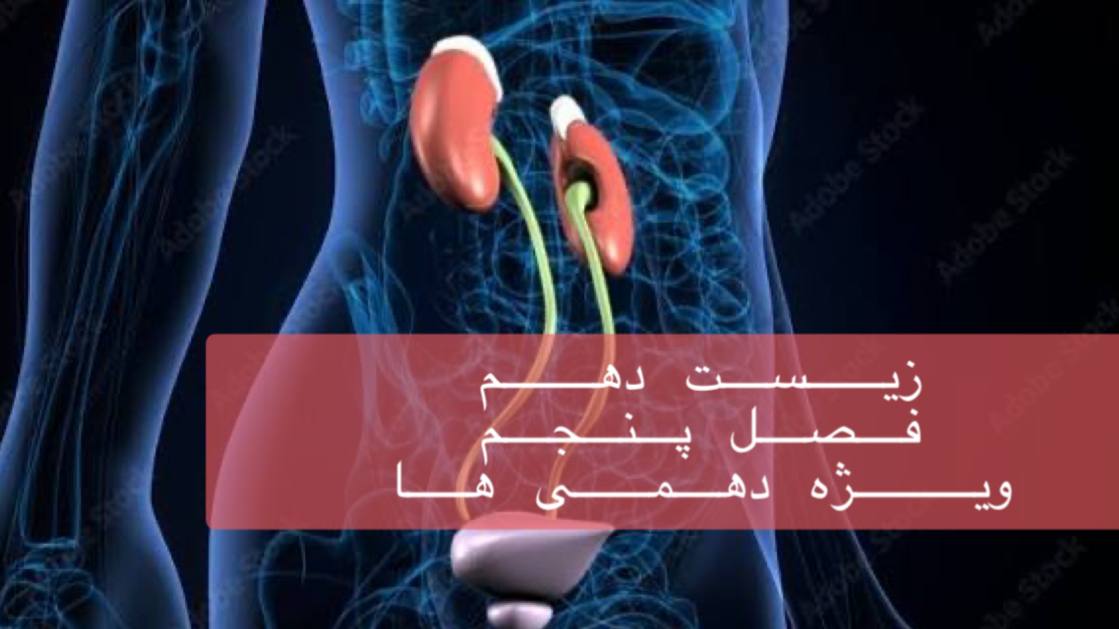 دهم- بررسی جامع فصل پنجم دهم در 2/5 ساعت - ویژه دهمی ها